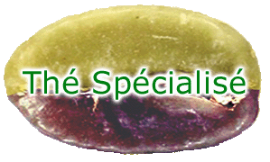 TheSpecialise