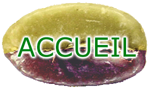 Accueil